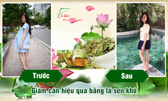 giảm cân sau sinh bằng lá sen khô